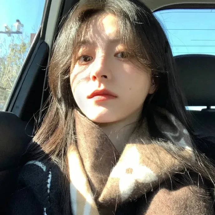 熊猫计划