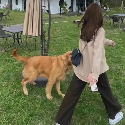 隐世宗门掌教